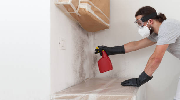 Professional Mold Removal technician working in Warren, IL
