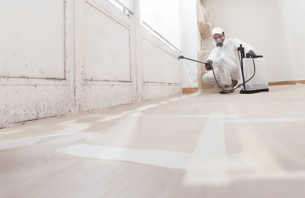 24/7 Emergency Mold Removal experts in Warren, IL